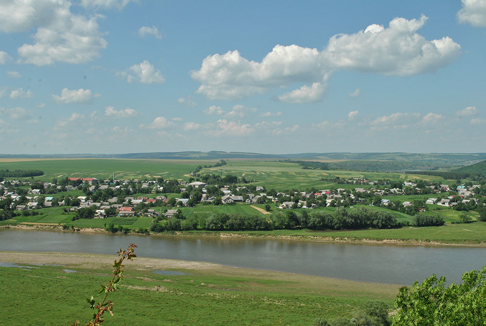 Монастириський район